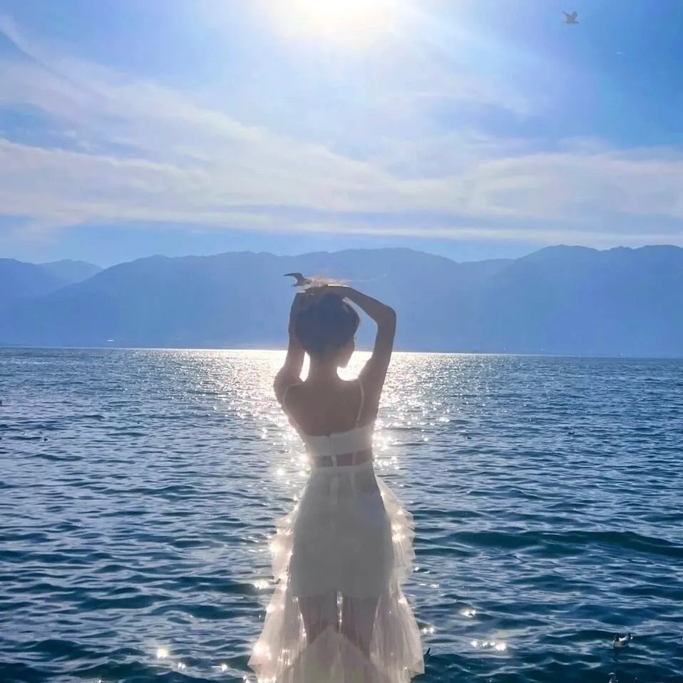 穿透幻影的太阳 海报