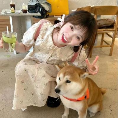 憨姑爷粤语 海报