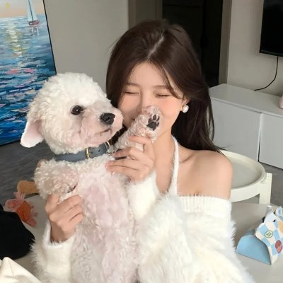 战斗妖精雪风 海报